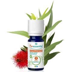 Organic Eucalyptus Radié 30ml Huiles Essentielles Puressentiel
