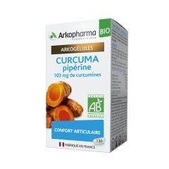 Piperine Turmeric X 130 Capsules Arkogelules 130 Gélules Arkogélules Arkopharma