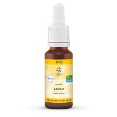 N°19 Elixir Biologiques Originales D'angleterre Larch 20ml Lemon Pharma
