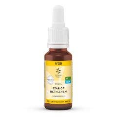 N°29 Elixir Biologiques Originales D'angleterre Star Of Bethlehem 20ml Lemon Pharma