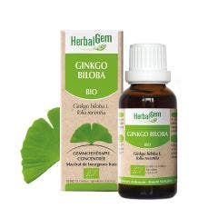 Herbalgem Bio Ginkgo Biloba 30ml Herbalgem
