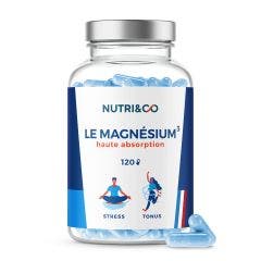 Plant Magnesium Vitamin B6 120 capsules Stress et Tonus NUTRI&CO
