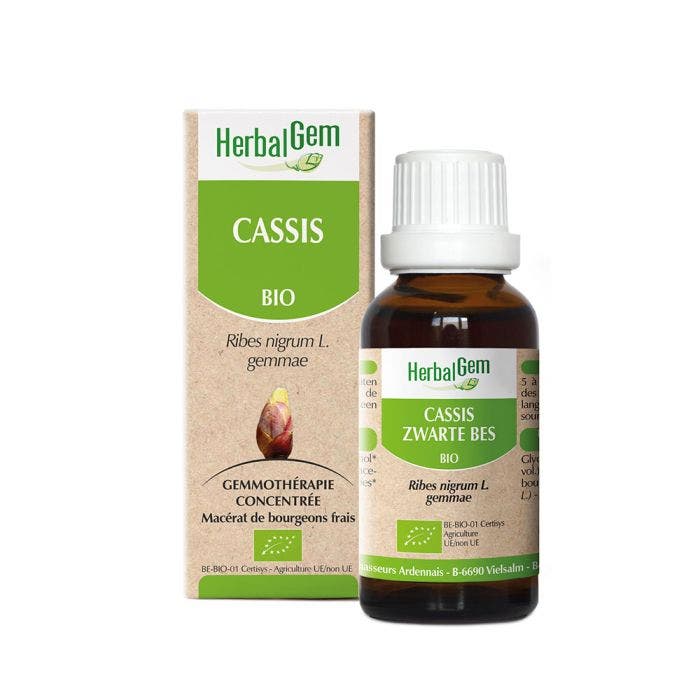 Blackcurrant Bioes 30ml Herbalgem