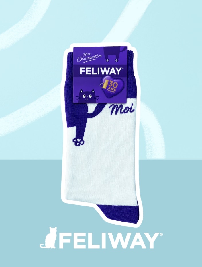 Good Deal A pair of socks 