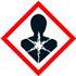 GHS08 - Serious health hazards